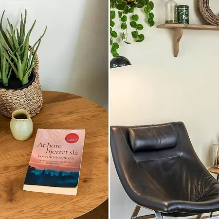 Vakantiehuis Bv234-blavand-pouls-bjerge-14