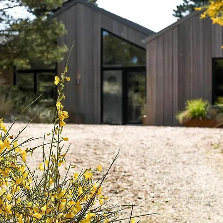 Bv234-blavand-pouls-bjerge-14 Vakantiehuis