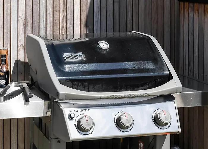 Bv234-blavand-pouls-bjerge-14